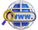 3D globe with a search bar displaying 'www' and a magnifying glass, symbolizing website search and global online presence.